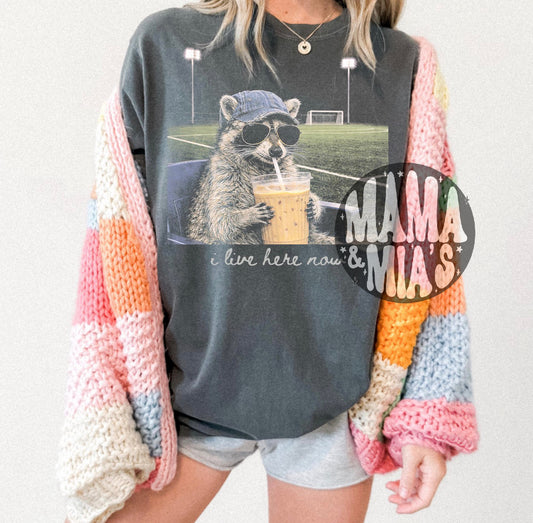 Soccer Raccoon